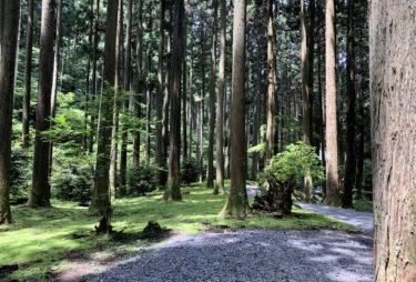 【Hitachi City】How to get to Oiwa Shrine from Hitachi Station (by bus)