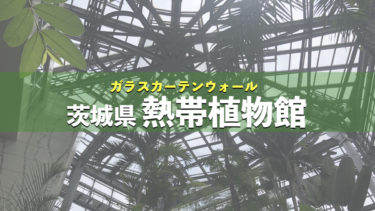 【那珂市】ガラスカーテンウォール建築の茨城県熱帯植物館